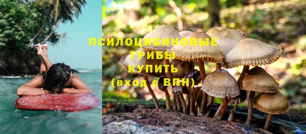 не бодяженный Вязьма