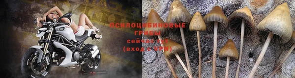 спиды Вязники