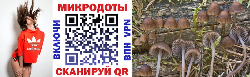 Псилоцибиновые грибы прущие грибы  блэк спрут tor  Зарайск 
